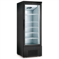 Bottom Mounted Glass Door Display Freezer